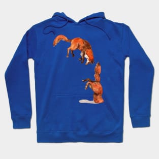 Jumping Fox Hoodie